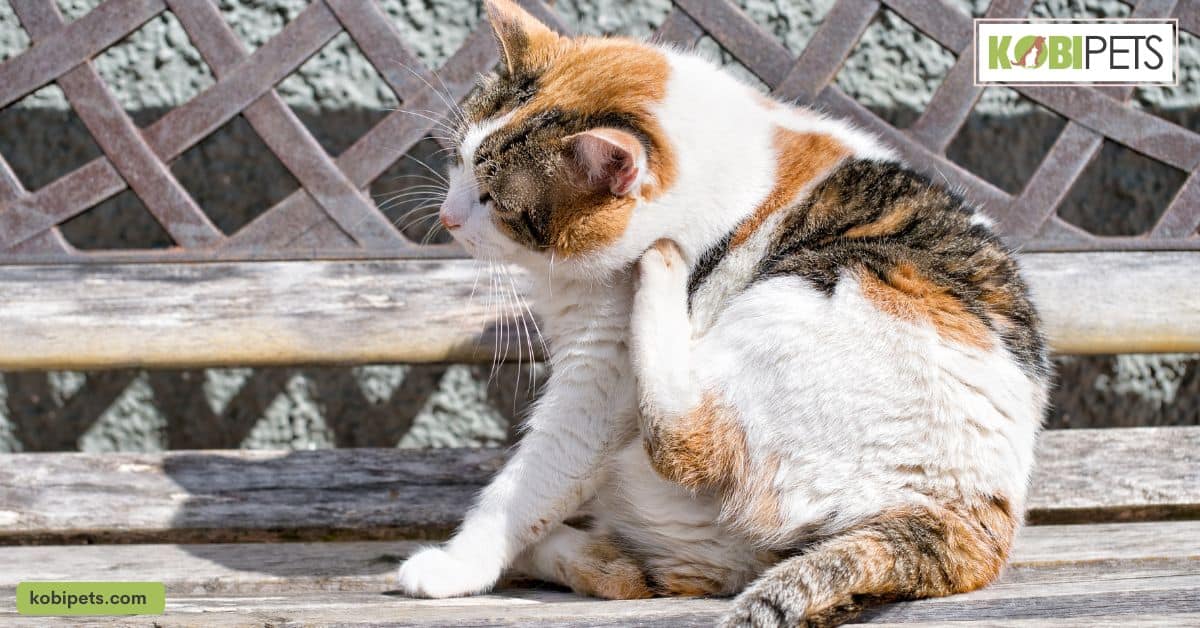 Parasites and Flea Control