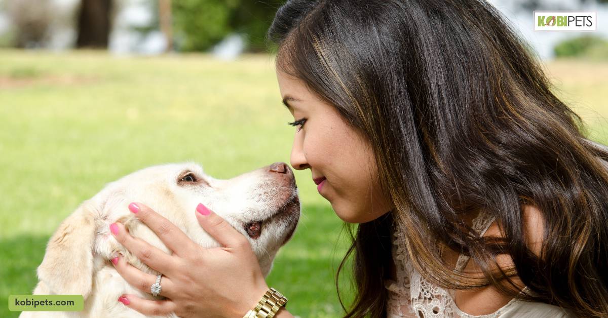 Peace of Mind for Pet Owners