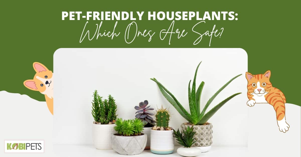 Pet-Friendly Houseplants: Which Ones Are Safe?