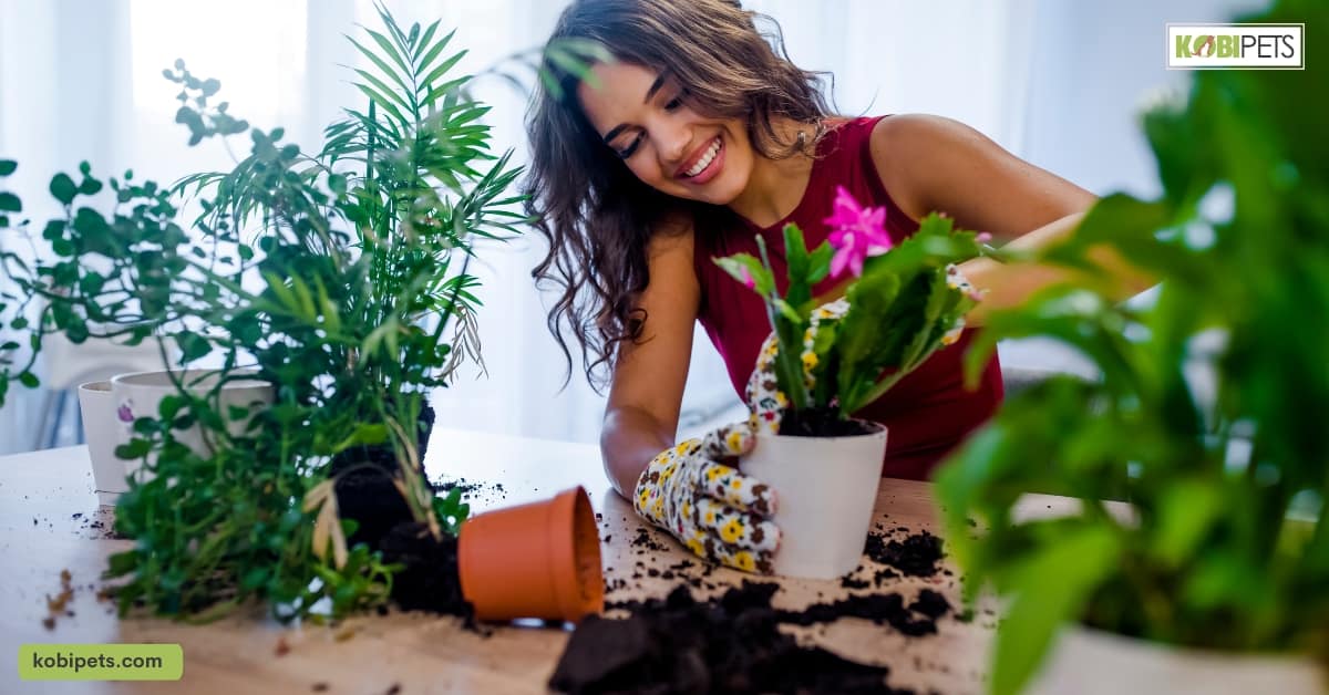Pet-Safe Plants
