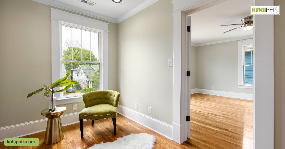 Prepare a Designated Litter Box Area