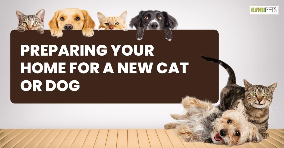 Preparing Your Home for a New Cat or Dog