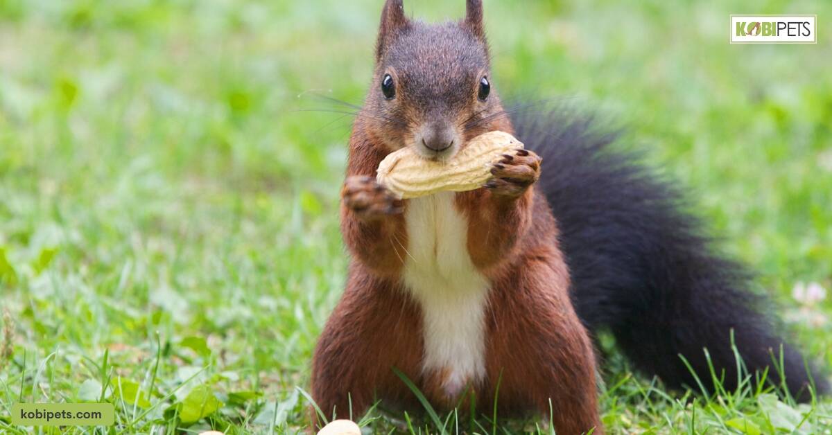 Prevention and Care Tips for Herbivore Dental Health