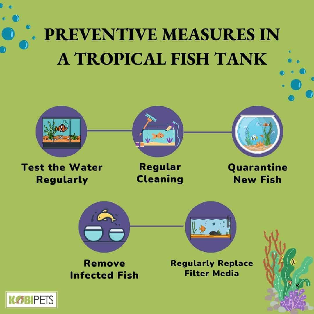 Preventive Measures in a Tropical Fish Tank