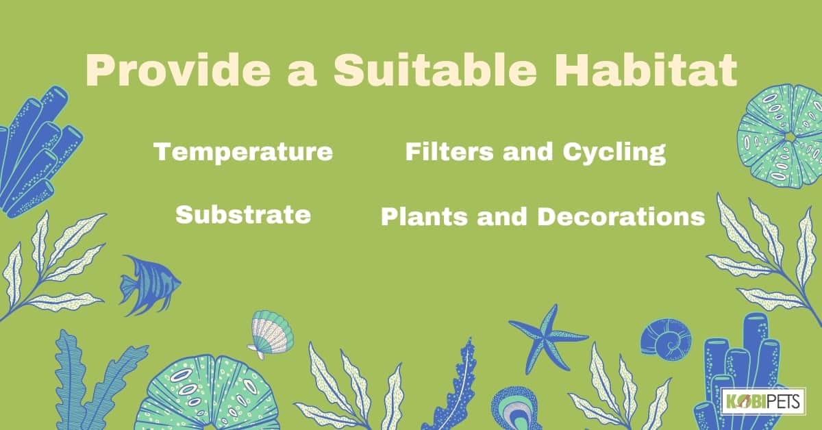 Provide a Suitable Habitat