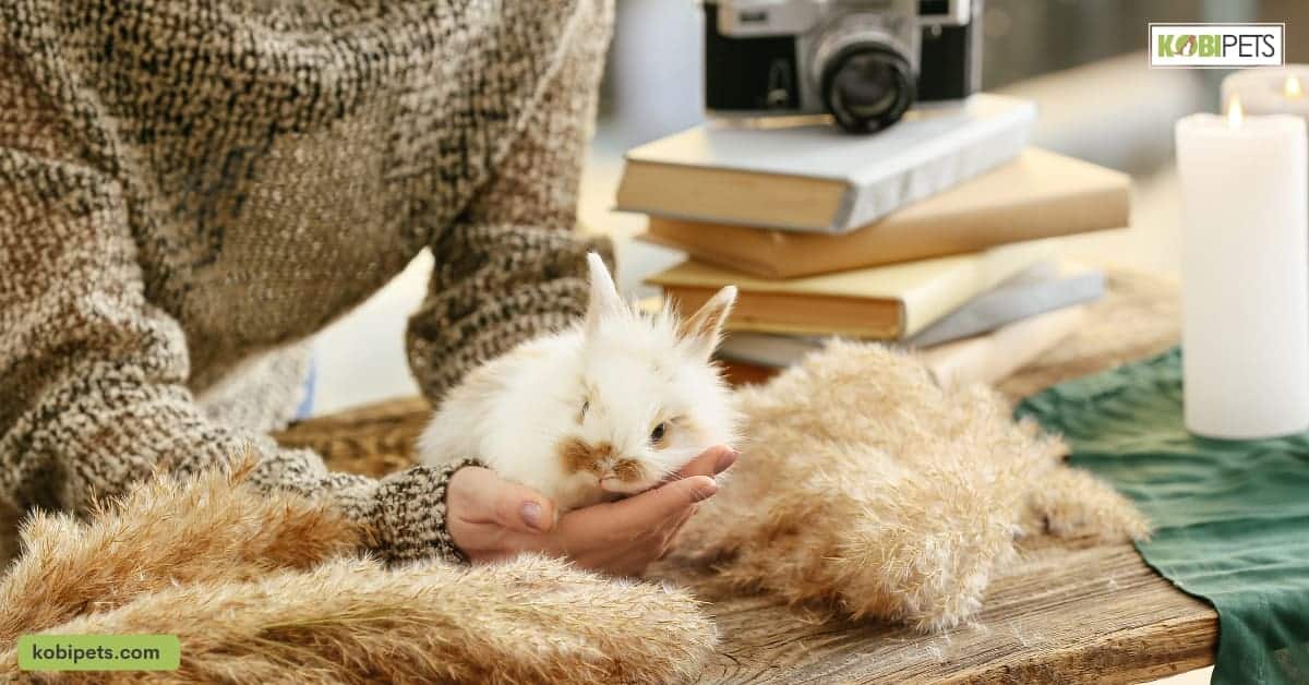 Providing a Safe and Comfortable Living Space