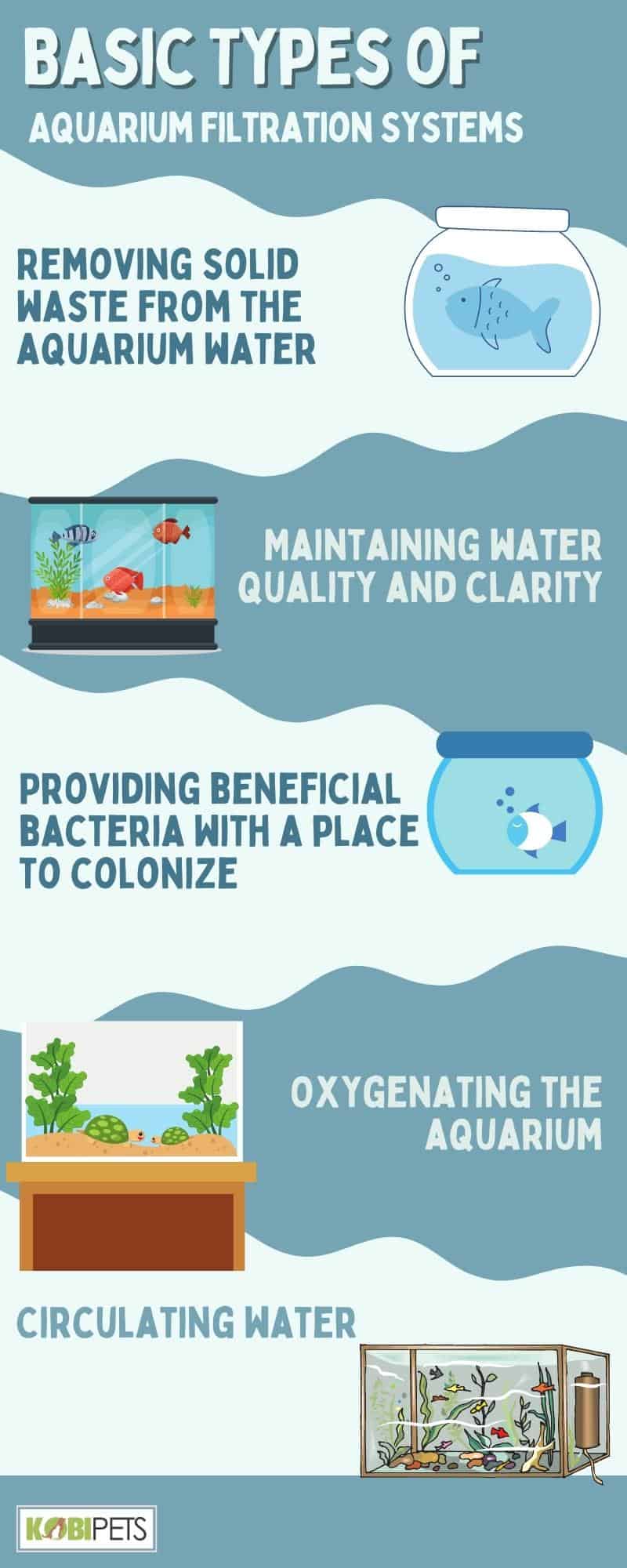 Purpose of Aquarium Filtration Systems