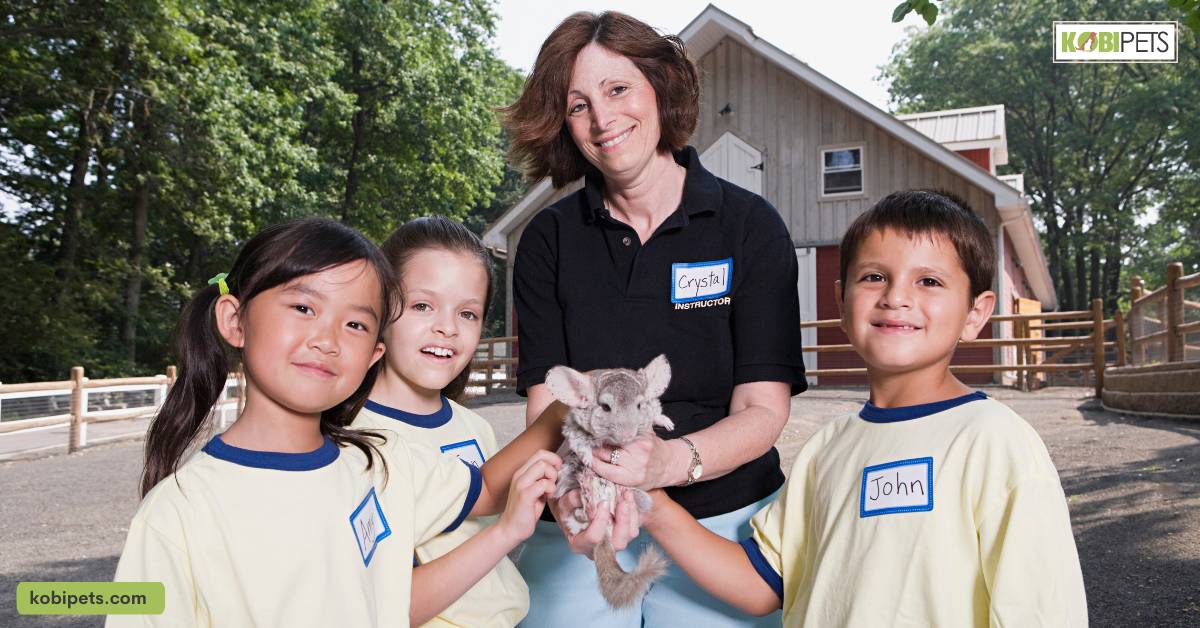 Responsibility for the Animal’s Well-Being