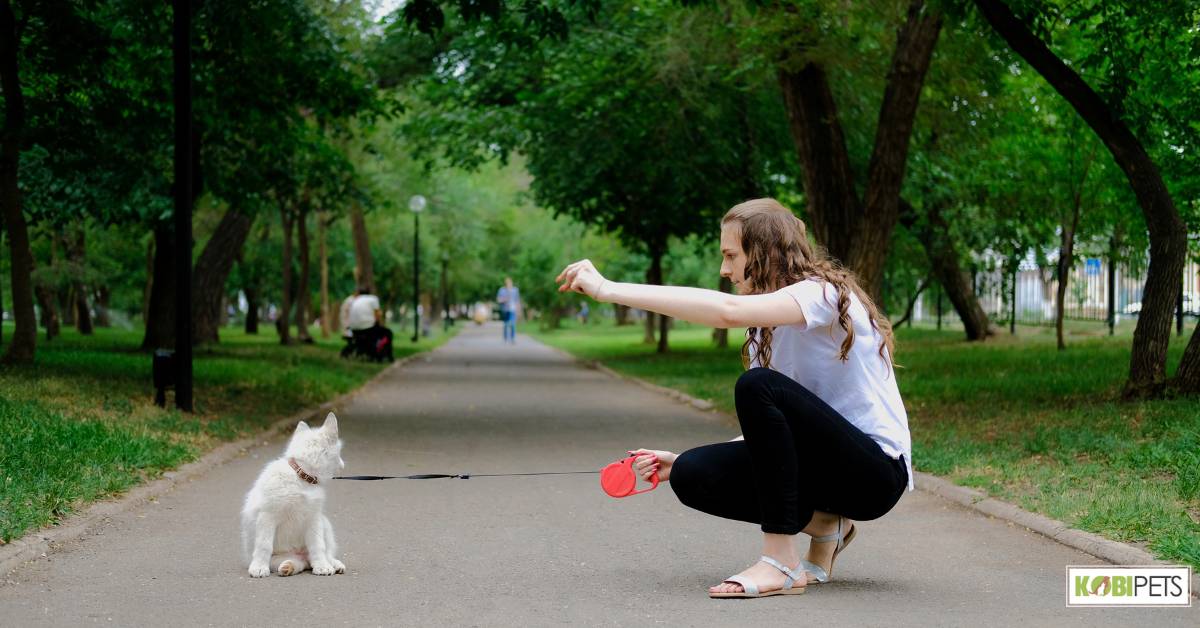 Retractable leash