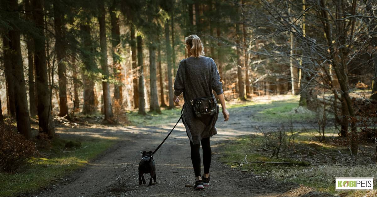 Hands-free leash