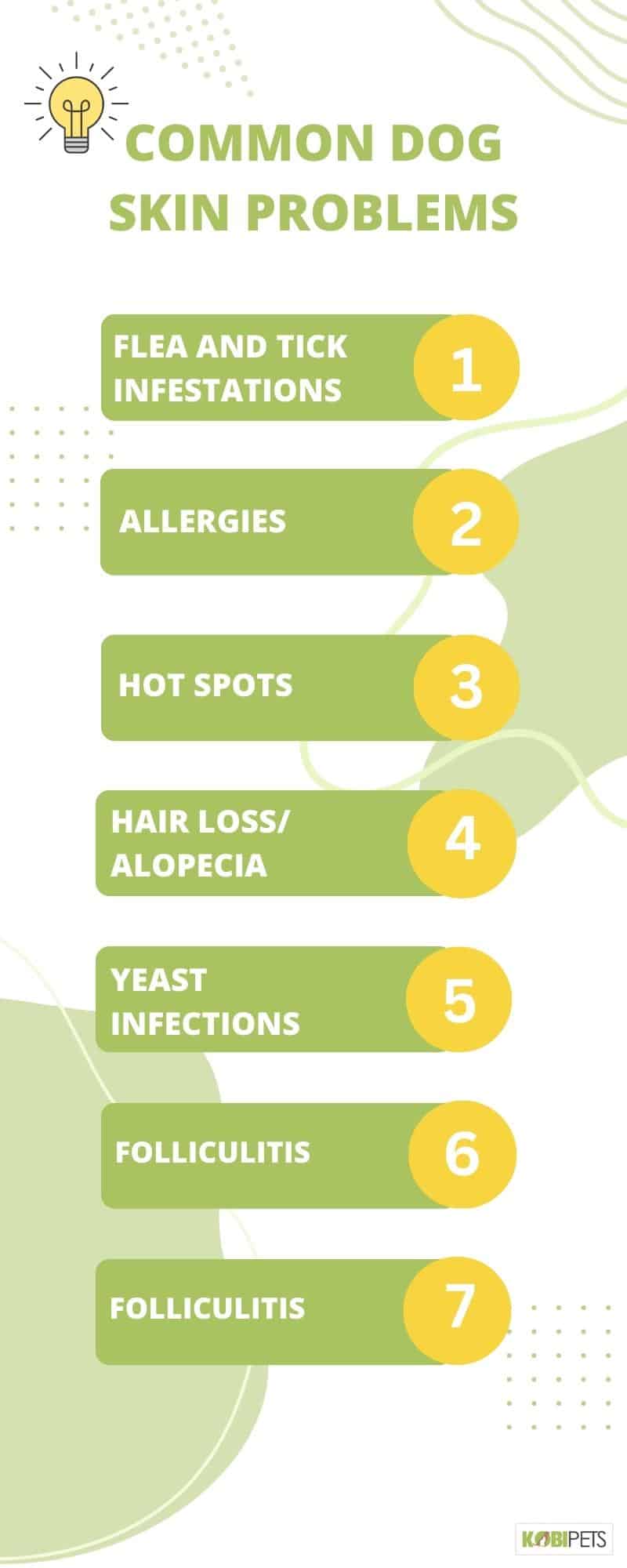 Common Dog Skin Problems