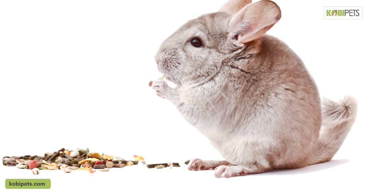Specialized Diet Requirements