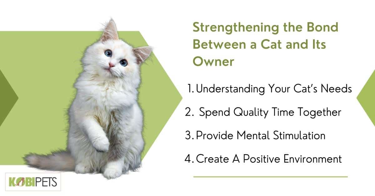 Strengthening the Bond Between a Cat and Its Owner