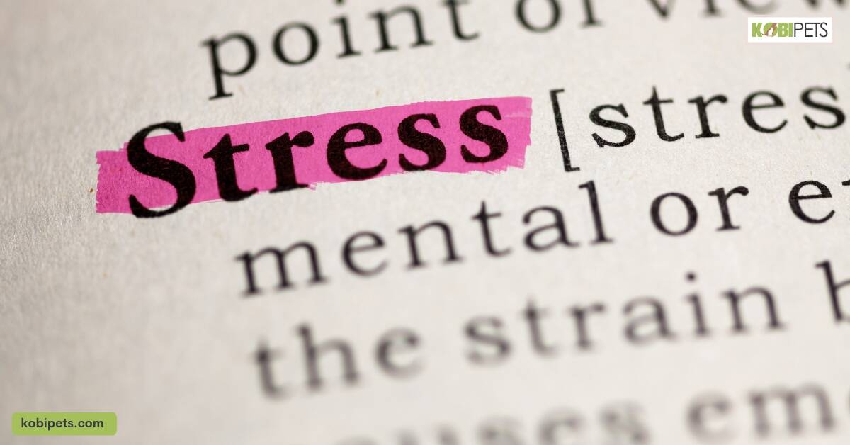 Stress and Anxiety