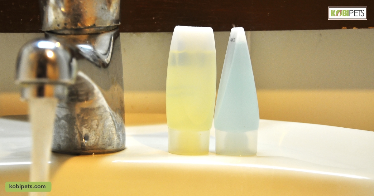 Treating Aquarium Water: 9 Essential Ways
