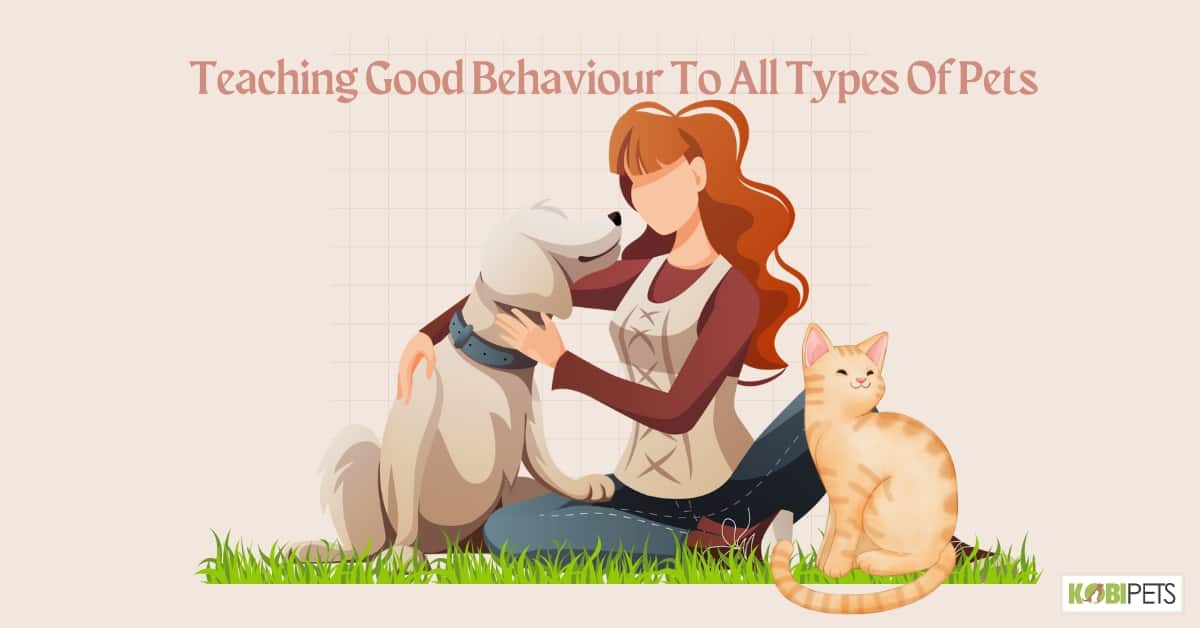 Teaching Good Behaviour To All Types Of Pets