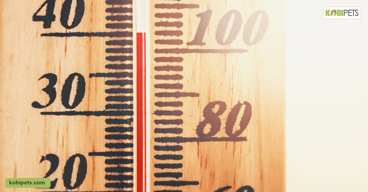Temperature Fluctuations