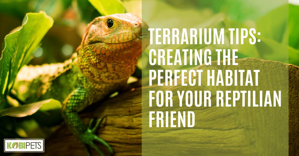 Terrarium Tips: Creating the Perfect Habitat for Your Reptilian Friend