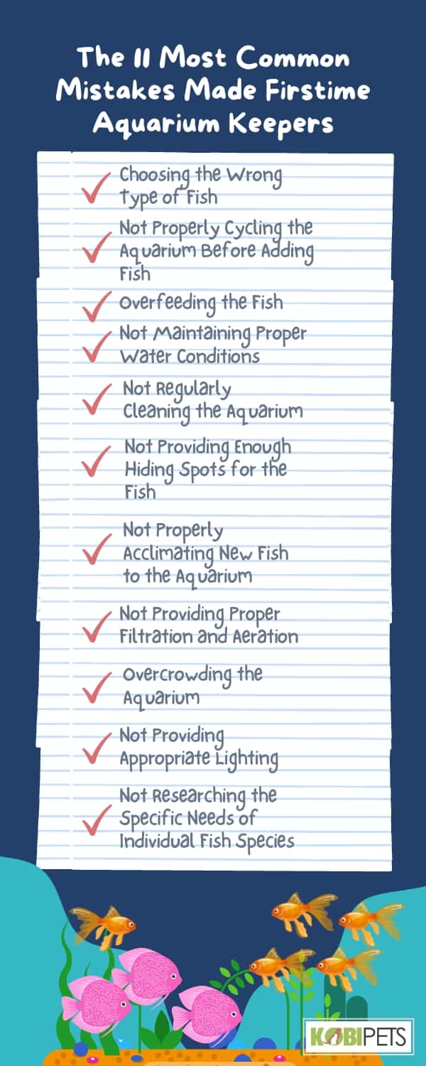 The 11 Most Common Mistakes Made Firstime Aquarium Keepers