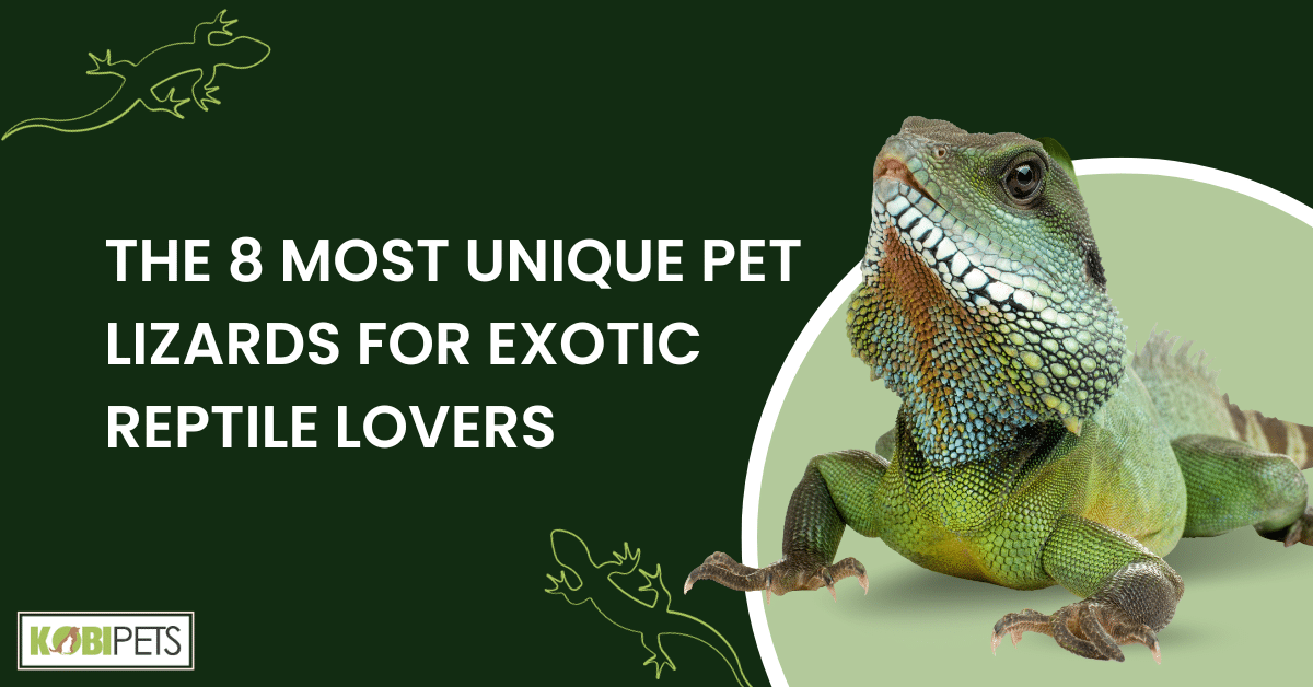 The 8 Most Unique Pet Lizards for Exotic Reptile Lovers
