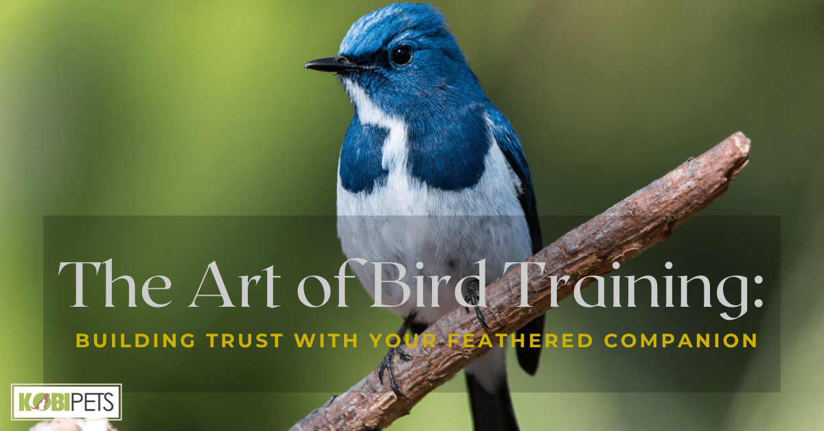 The Art of Bird Training: Building Trust with Your Feathered Companion