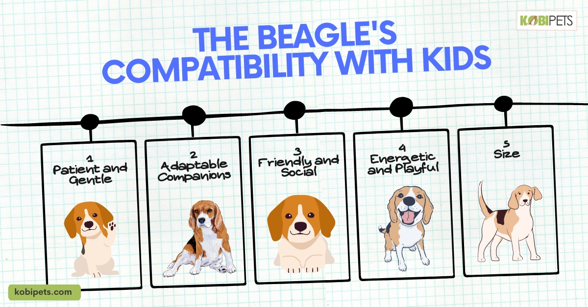 Is Beagle A Good Choice For Kids? Everything You Need To Know