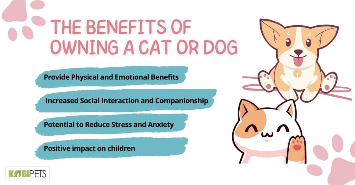 The Benefits of Owning a Cat or Dog