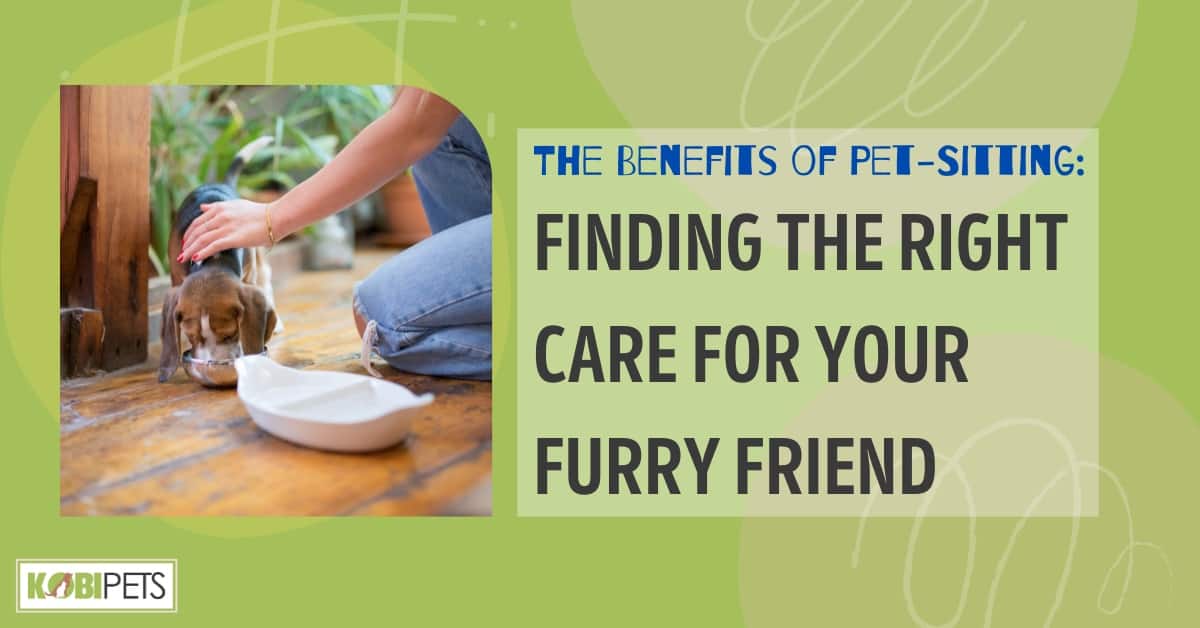 The Benefits of Pet-Sitting: Finding the Right Care for Your Furry Friend