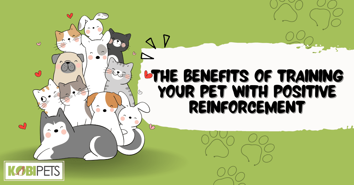 10 Benefits of Training Your Pet with Positive Reinforcement
