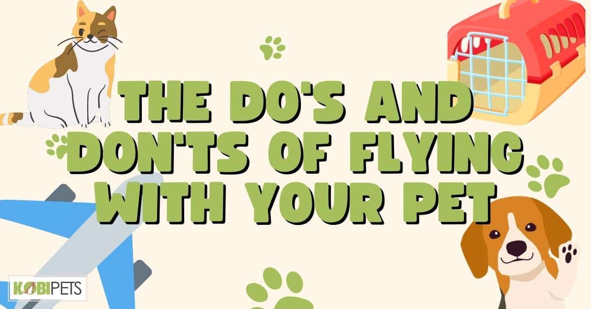 The Do’s and Don’ts of Flying with Your Pet