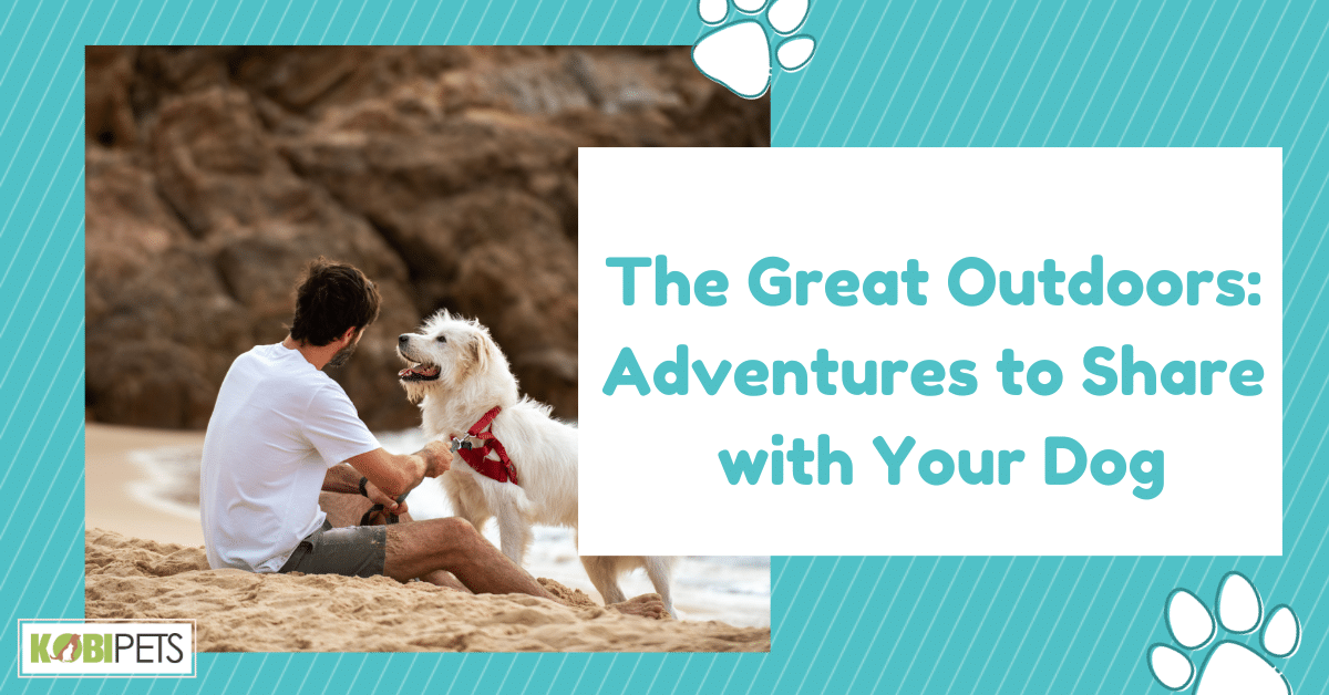 The Great Outdoors: Adventures to Share with Your Dog