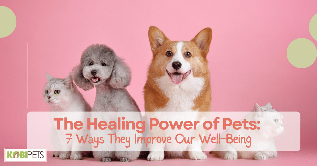 The Healing Power of Pets: 7 Ways They Improve Our Well-Being
