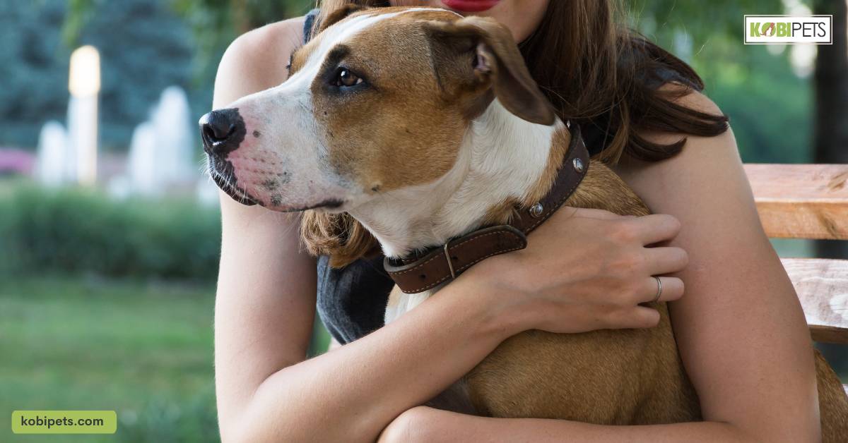 The Importance of Socialization for Your Pet