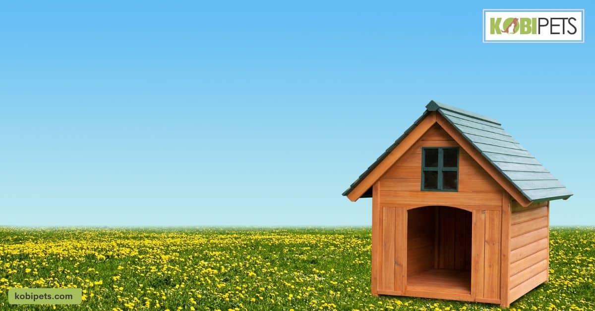 The Pallet Dog House