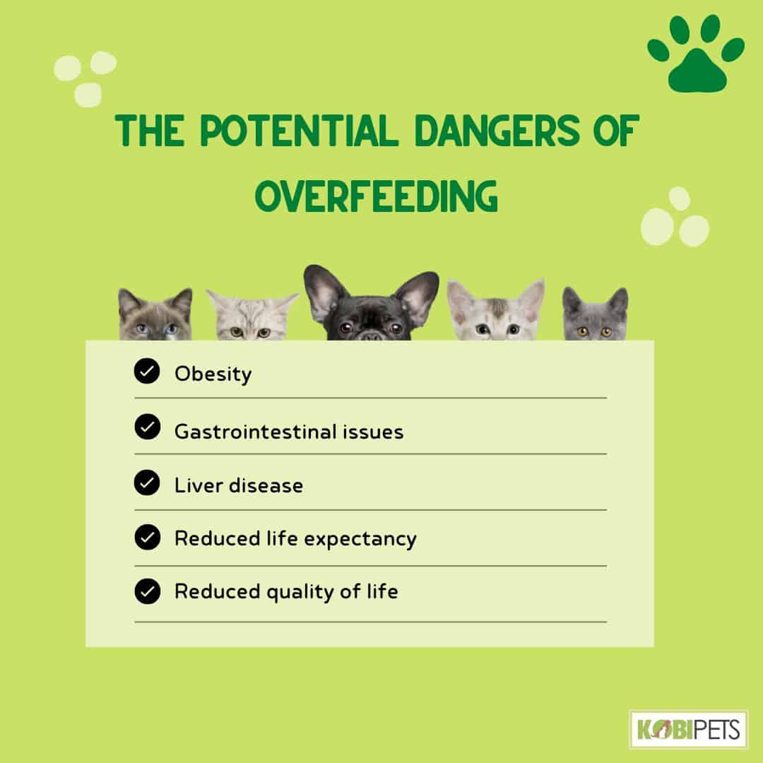 The Potential Dangers of Overfeeding