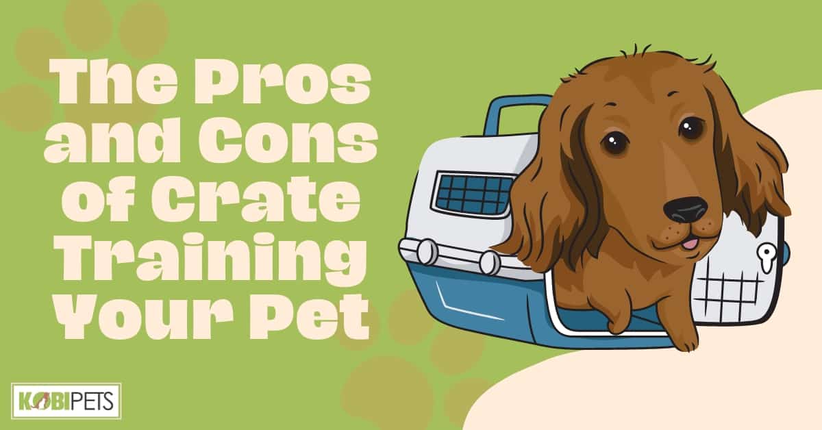 The Pros and Cons of Crate Training Your Pet