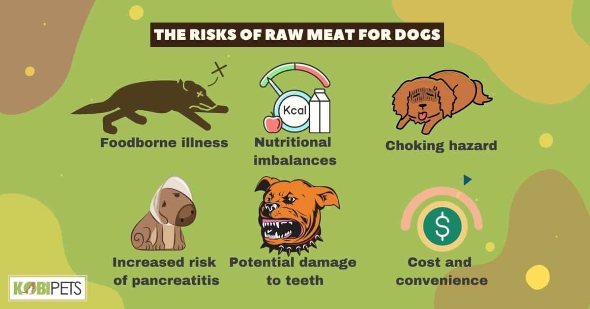 The Risks of Raw Meat for Dogs