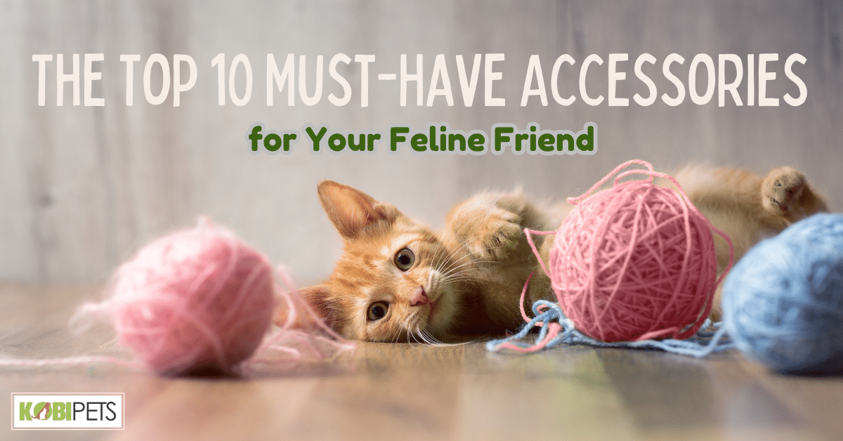 The Top 10 Must-Have Accessories for Your Feline Friend