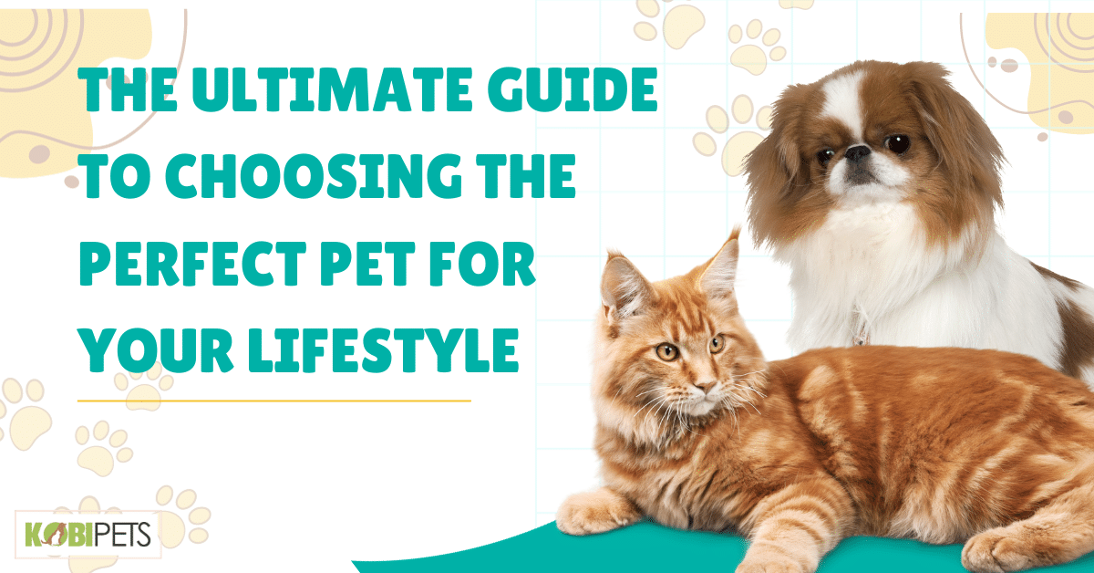 The Ultimate Guide to Choosing the Perfect Pet for Your Lifestyle