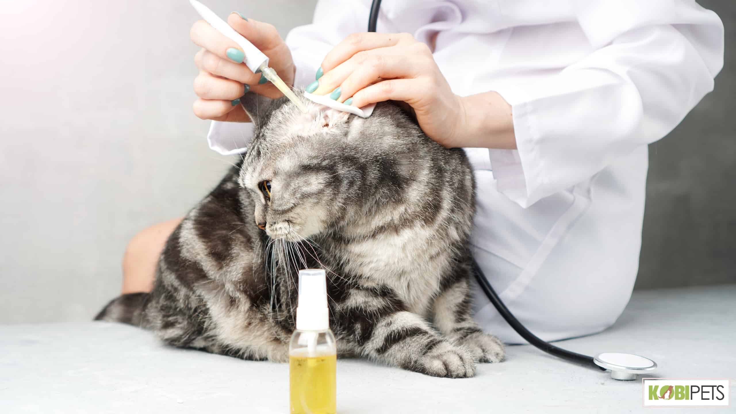 Tools Needed for Ear Cleaning