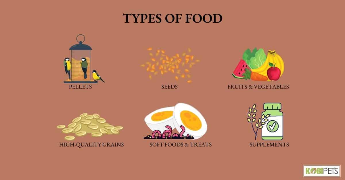 Types of Food