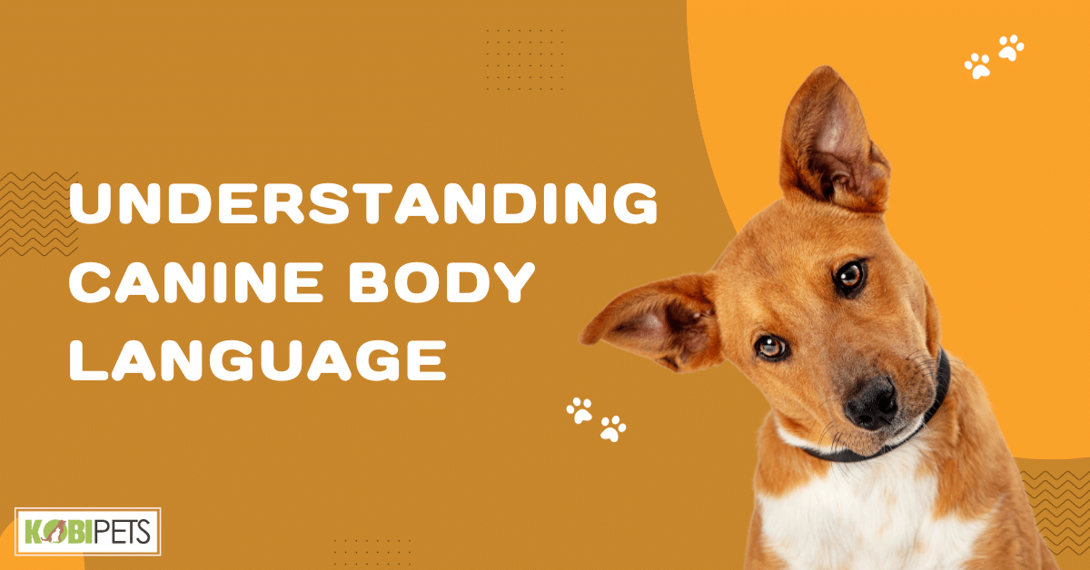 Understanding Canine Body Language