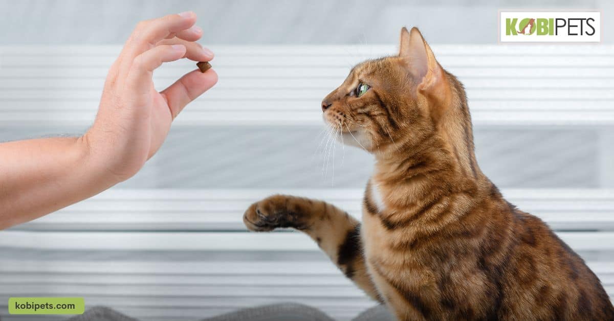 Use Positive Reinforcement