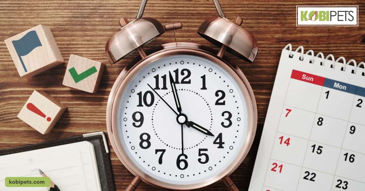 Vaccination Schedule