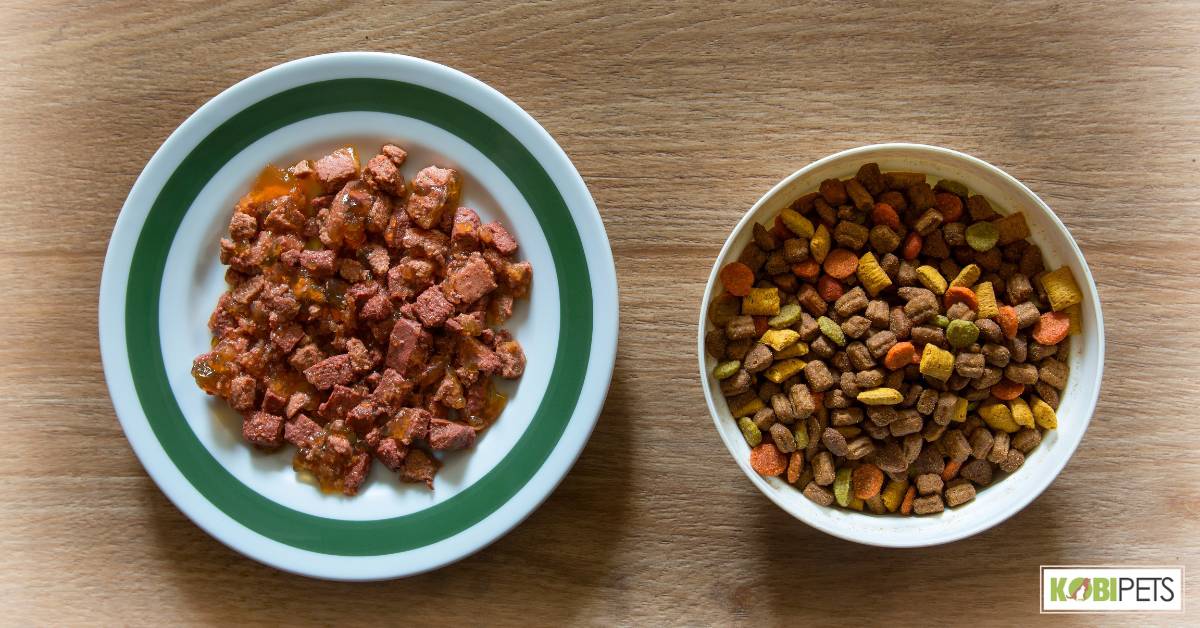 Wet vs. Dry food