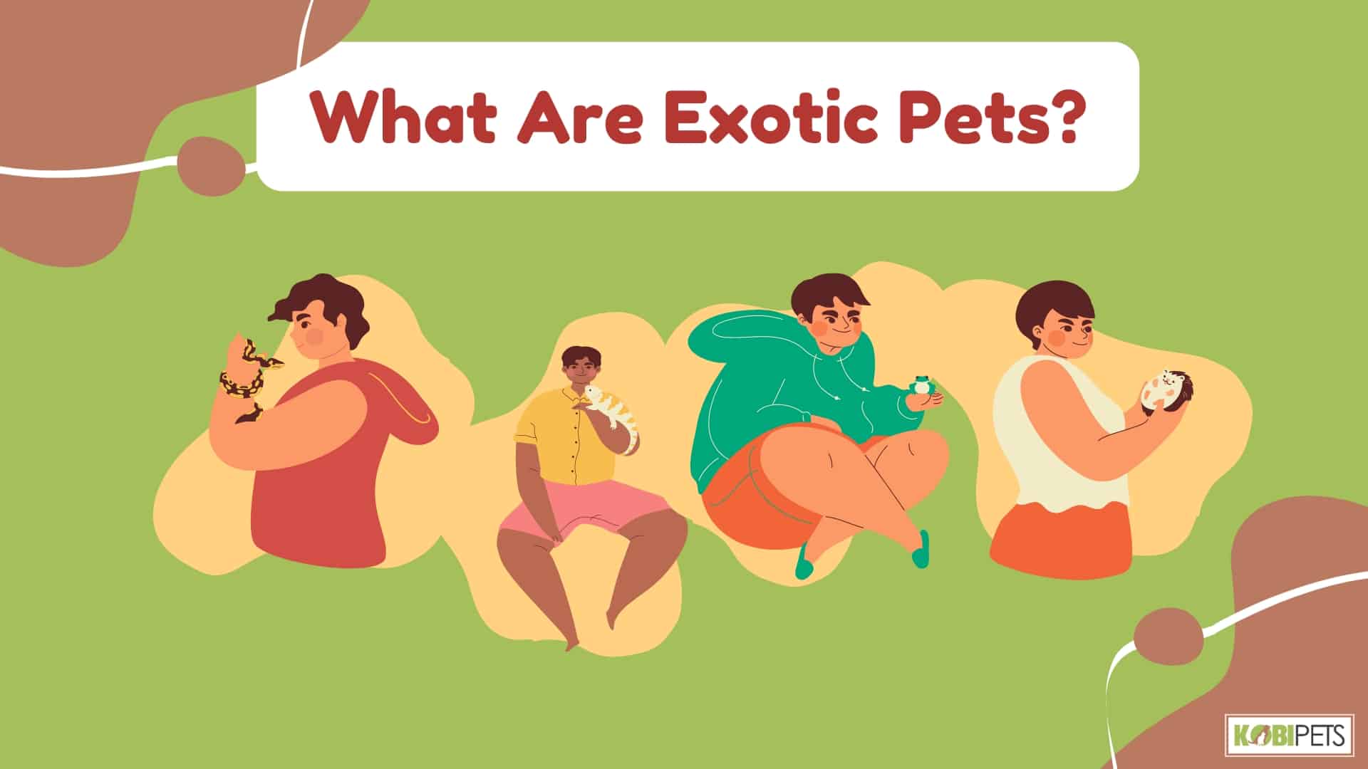 What Are Exotic Pets?