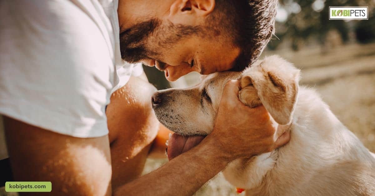 How to Help a Dog With Separation Anxiety