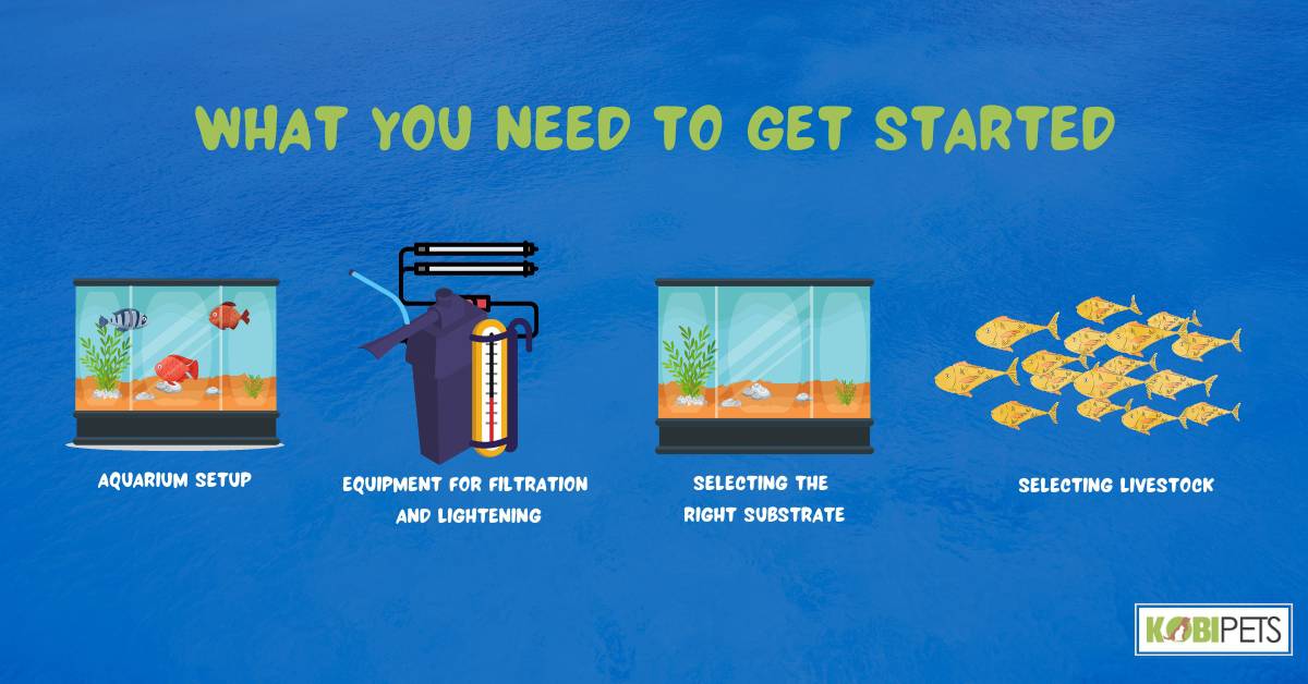 What You Need to Get Started