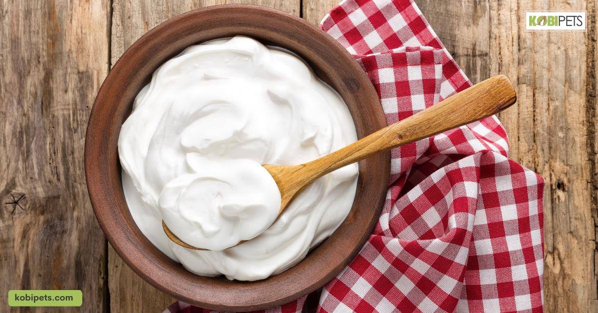 Yogurt