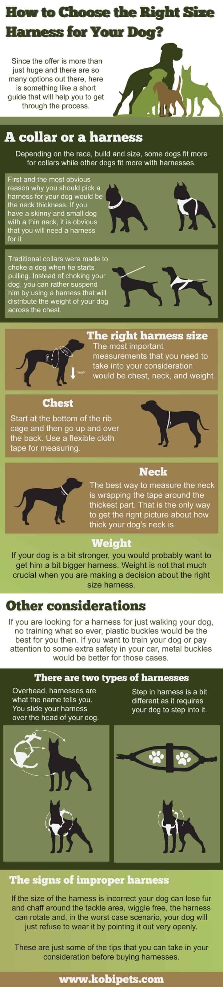 How-to-Choose-the-Right-Size-Harness-for-Your-Dog (infographic)